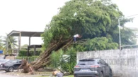 Quase 400 pessoas estão desalojadas; rios e lagoas ameaçam transbordar.